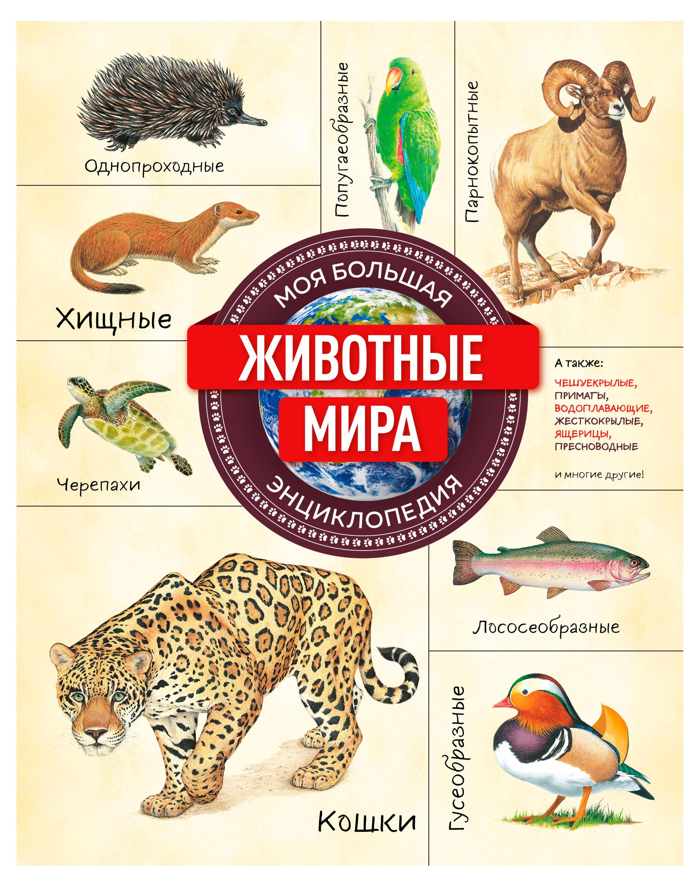 

Энциклопедия Животные мира