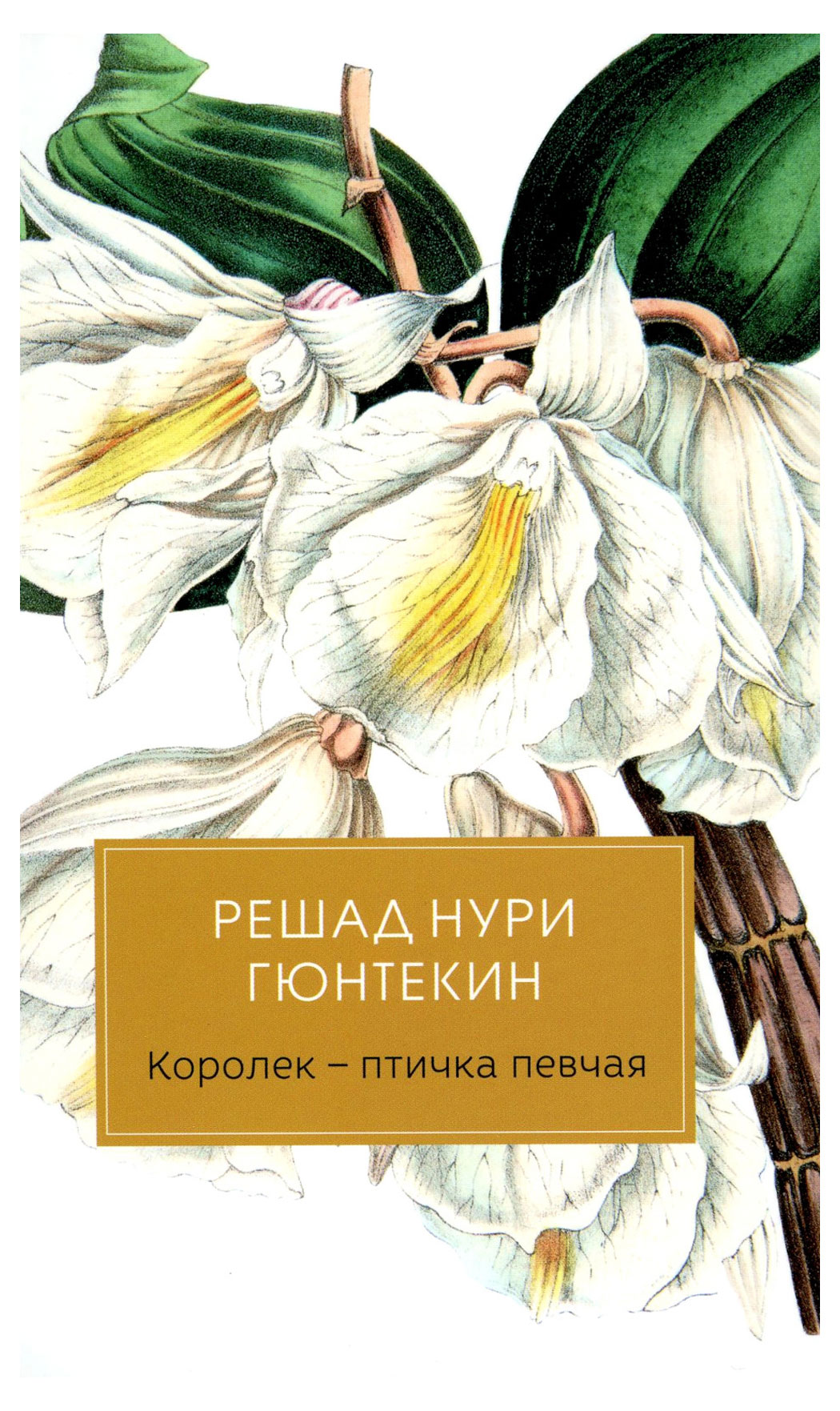 

Королек - птичка певчая, Гюнтекин Р.Н.