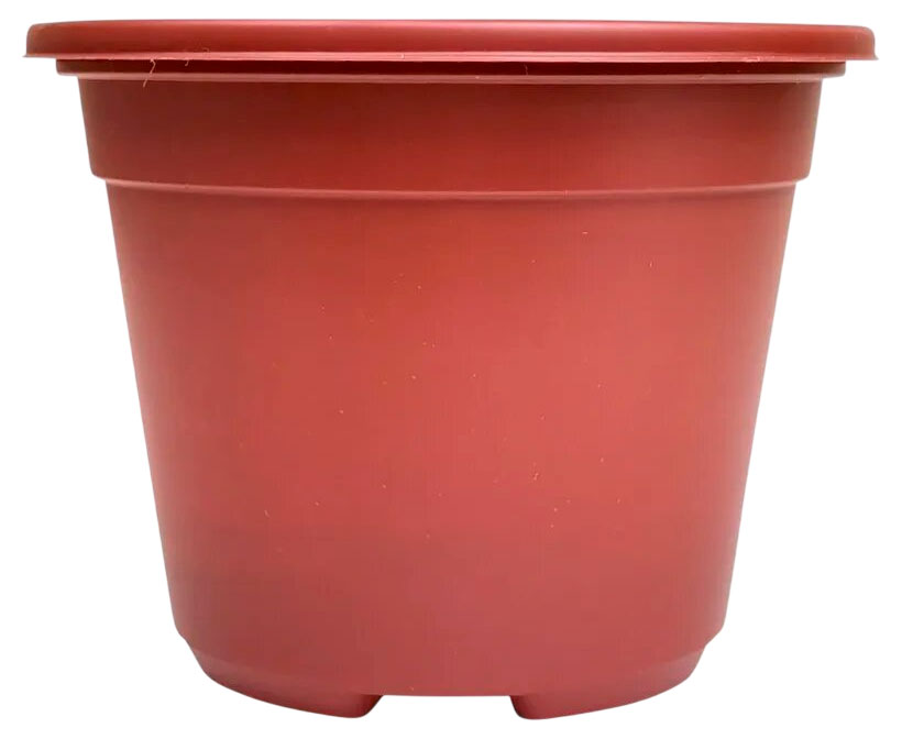

Набор горшков ГазонСity Color 11х8,5 см, 5 шт