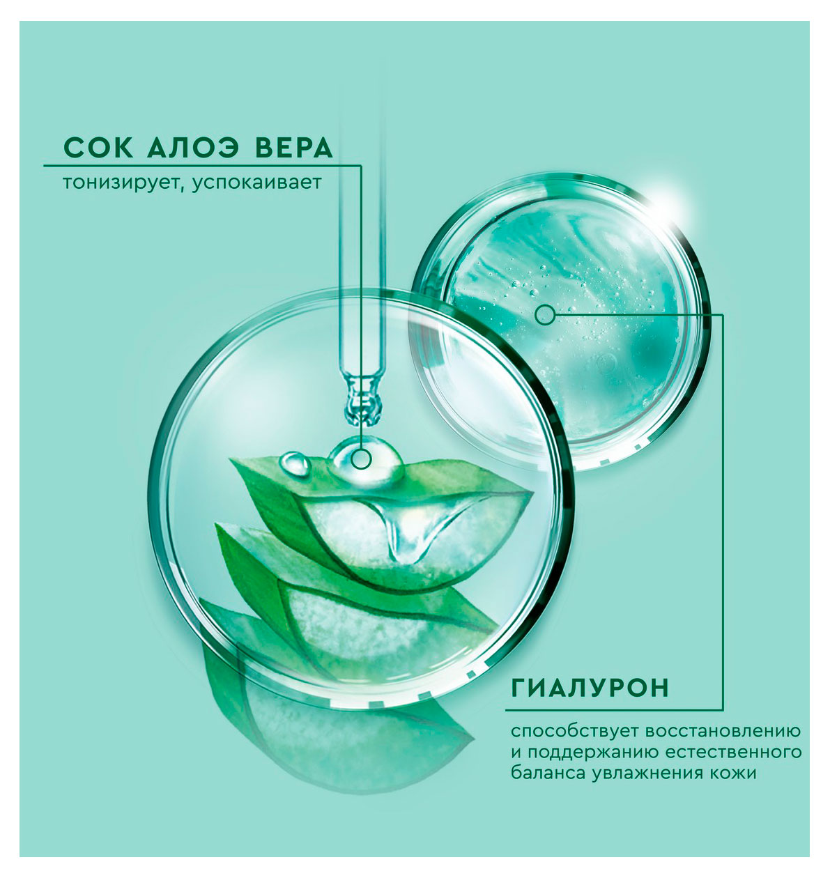 https://www.auchan.ru/files/original/34375206