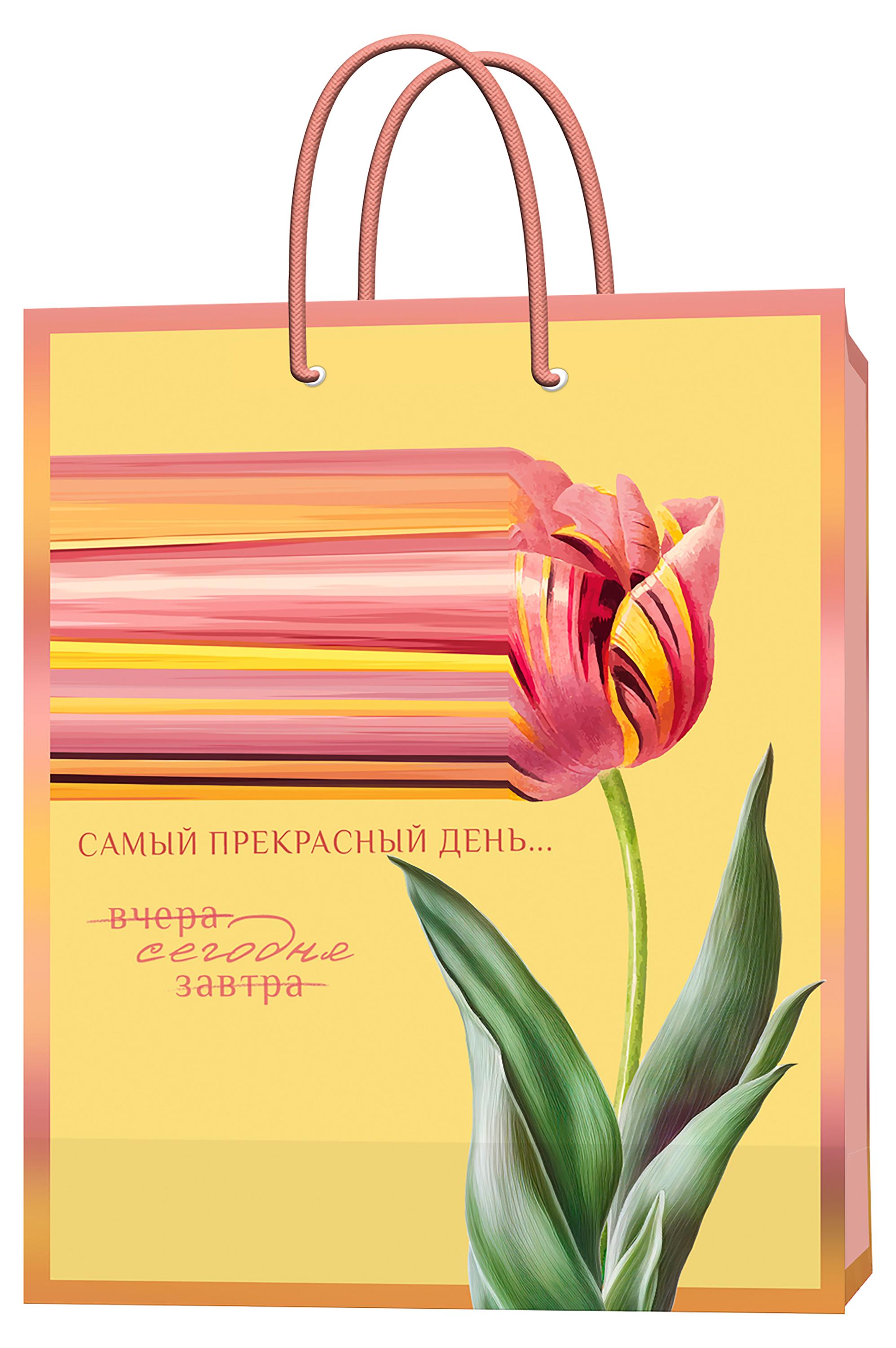 

Подарочный пакет Феникс-Презент глянцевый, 18x23 см
