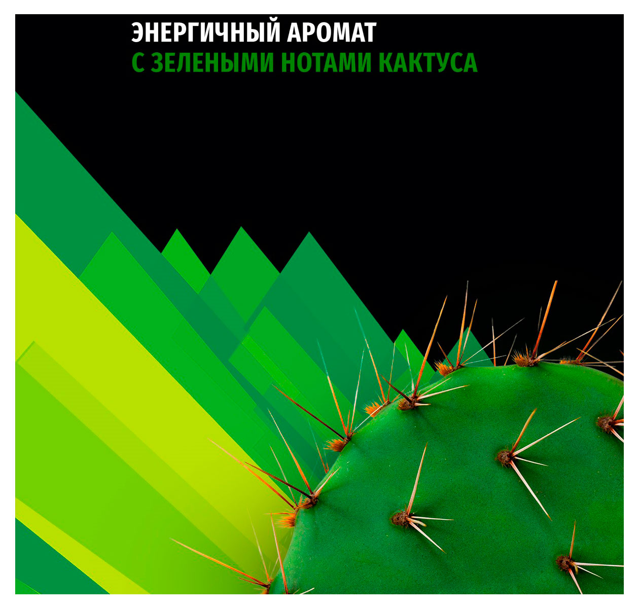 https://www.auchan.ru/files/original/34801983