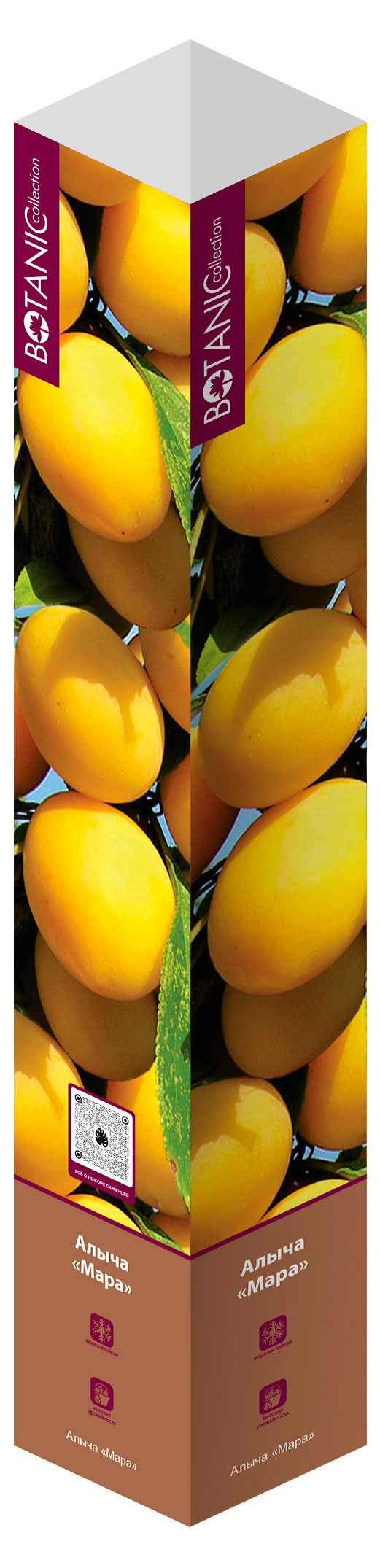 

Саженцы Флора групп Алыча Мара в тубе, 1 шт