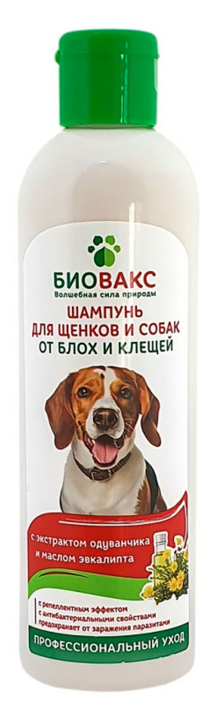 Шампунь для щенков и собак «Биовакс» от блох и клещей с экстраком одуванчика и маслом эвкалипта, 250 мл