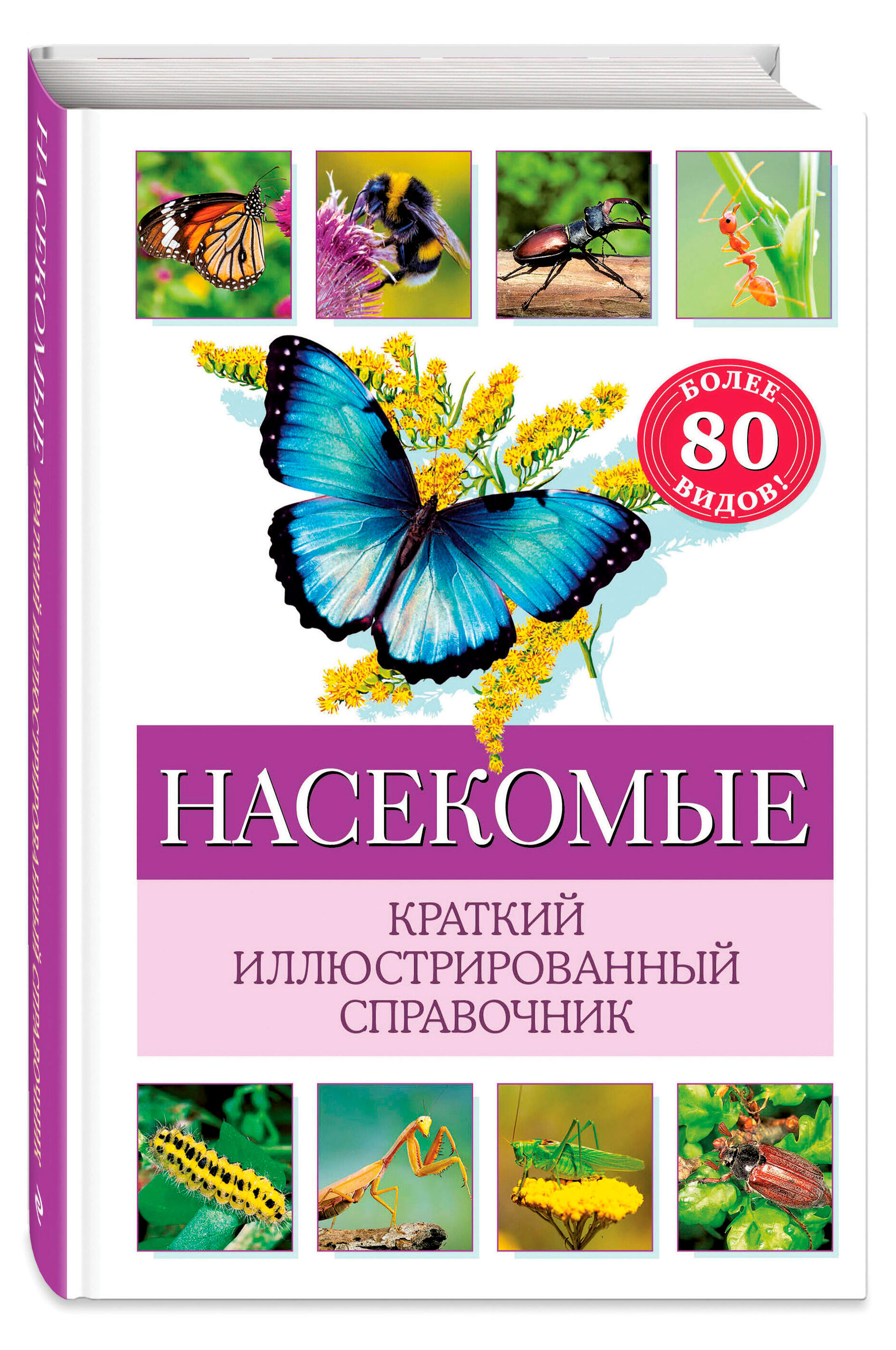 

Насекомые краткий иллюстрированный справочник