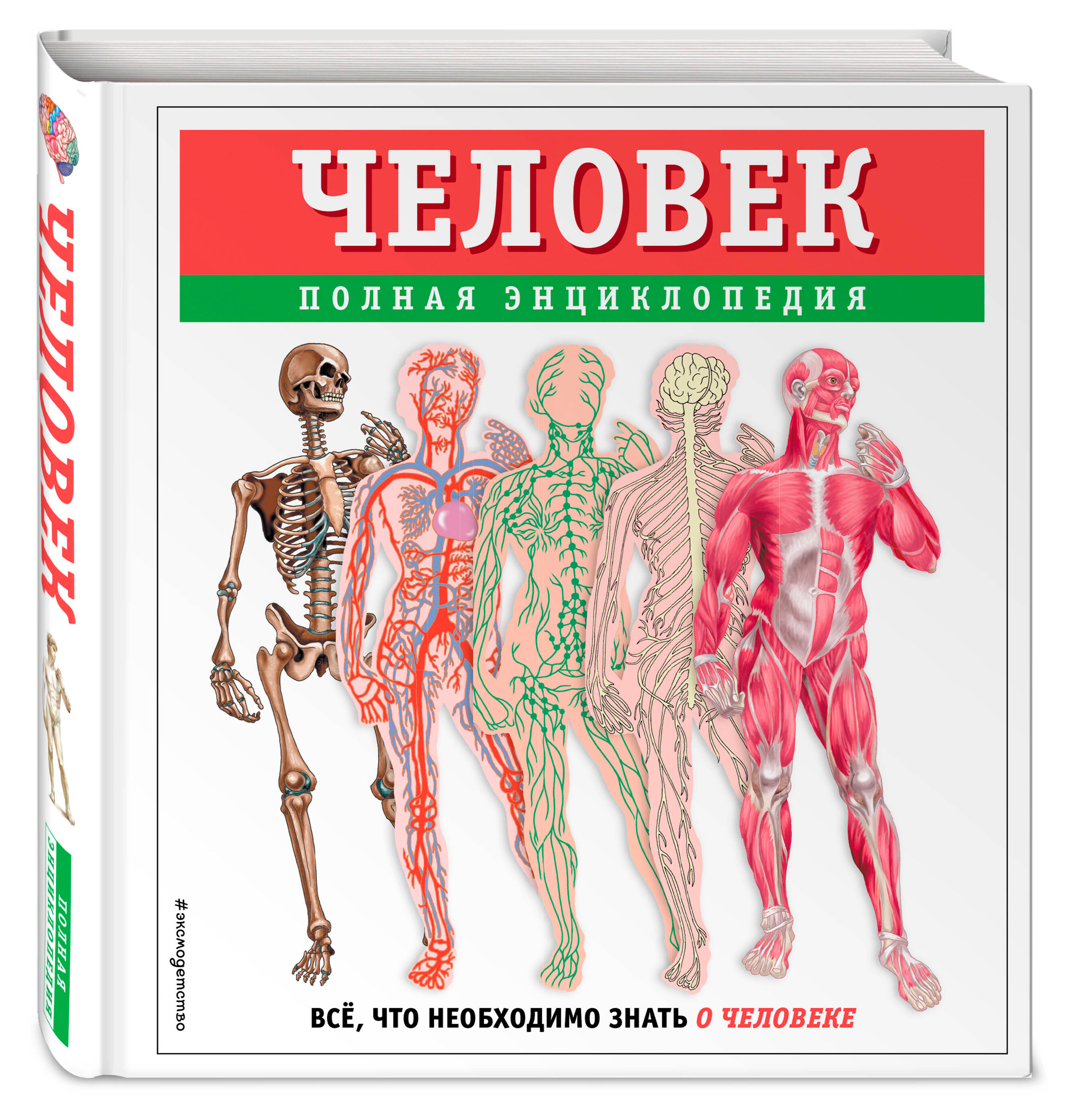 

Человек полная энциклопедия