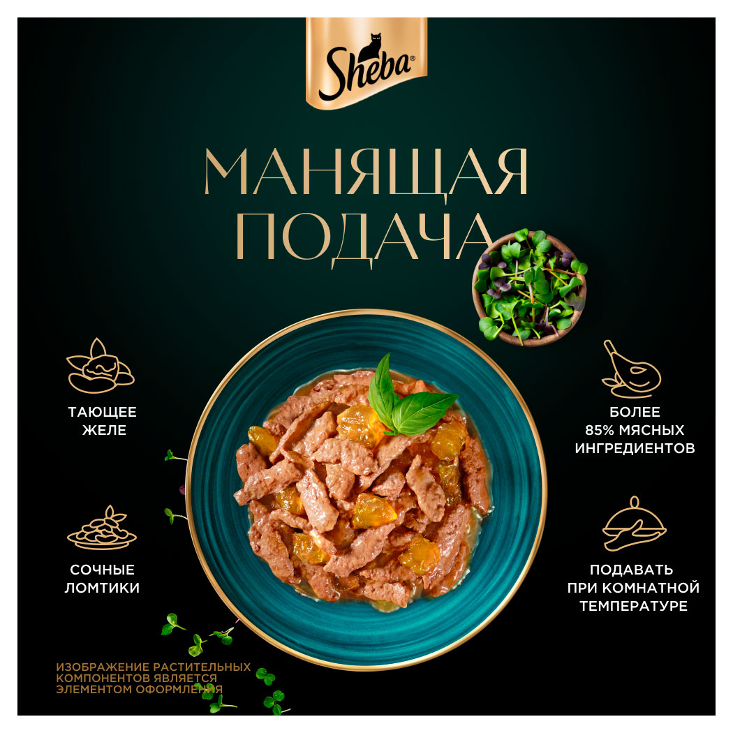 https://www.auchan.ru/files/original/35343992