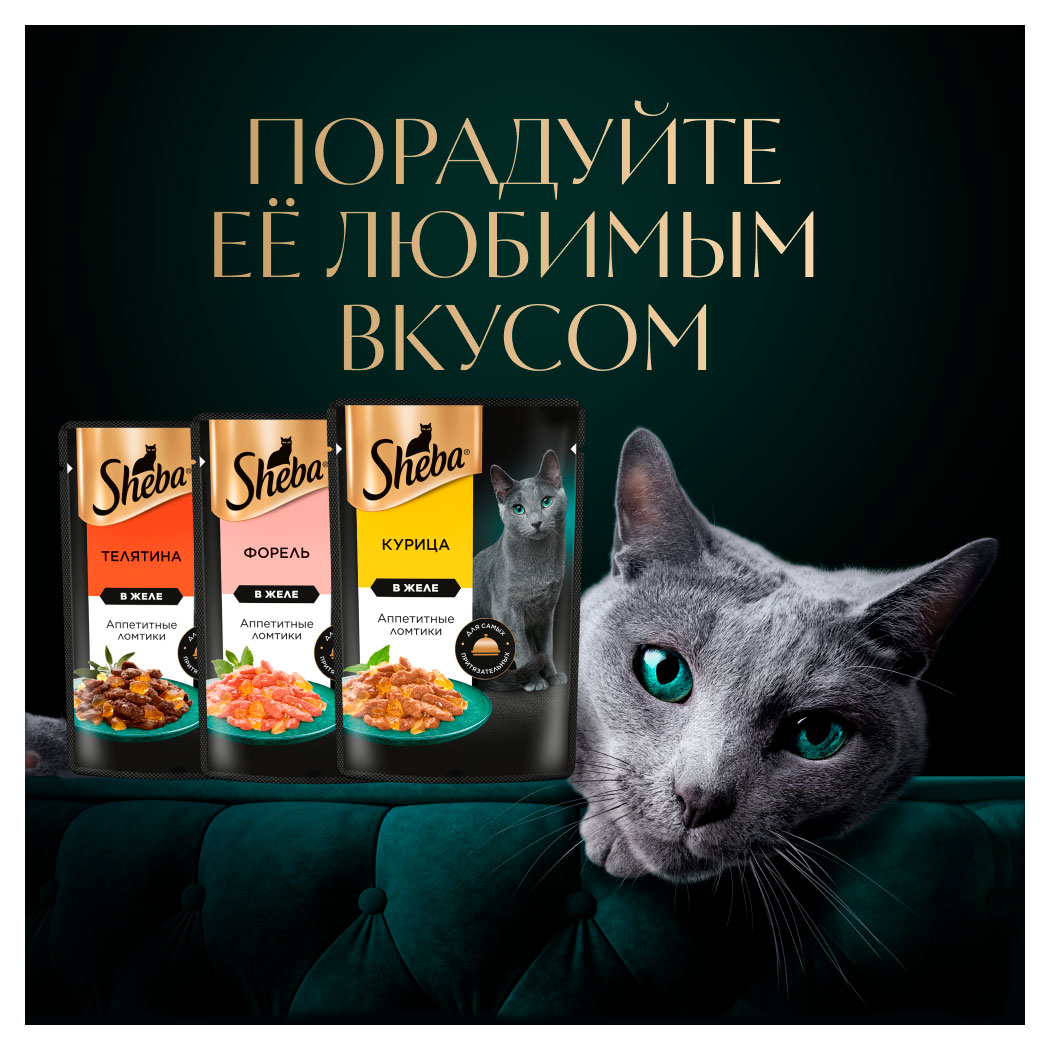 https://www.auchan.ru/files/original/35344031