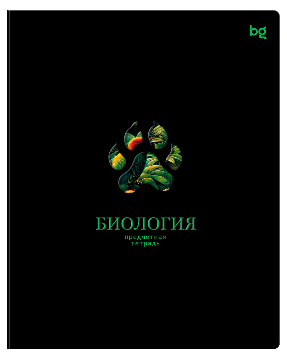 

Тетрадь предметная BG Информационное поле Биология в клетку А5, 48 л