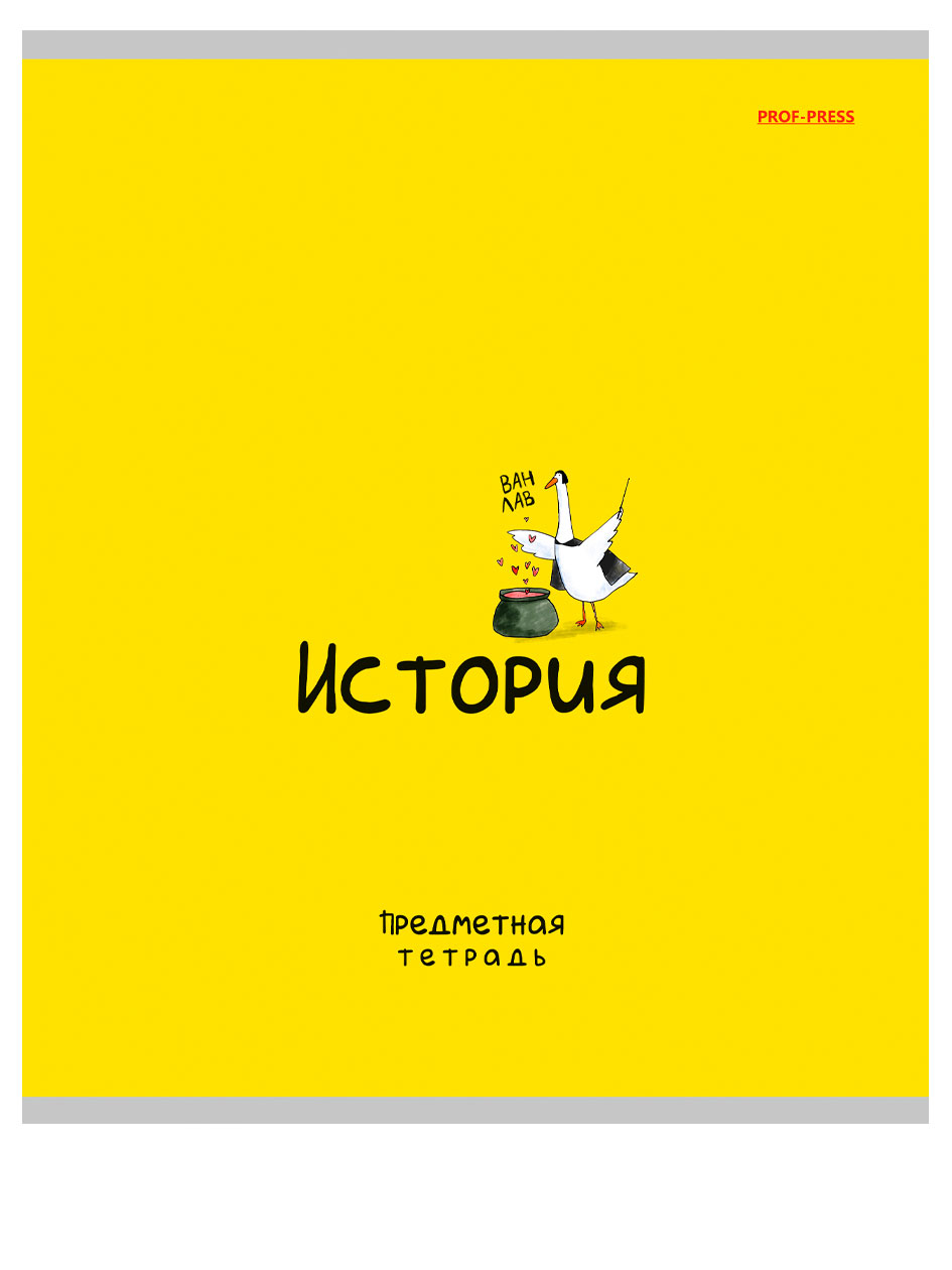 

Тетрадь предметная Prof-Press Mini friends История в клетку А5, 48 л