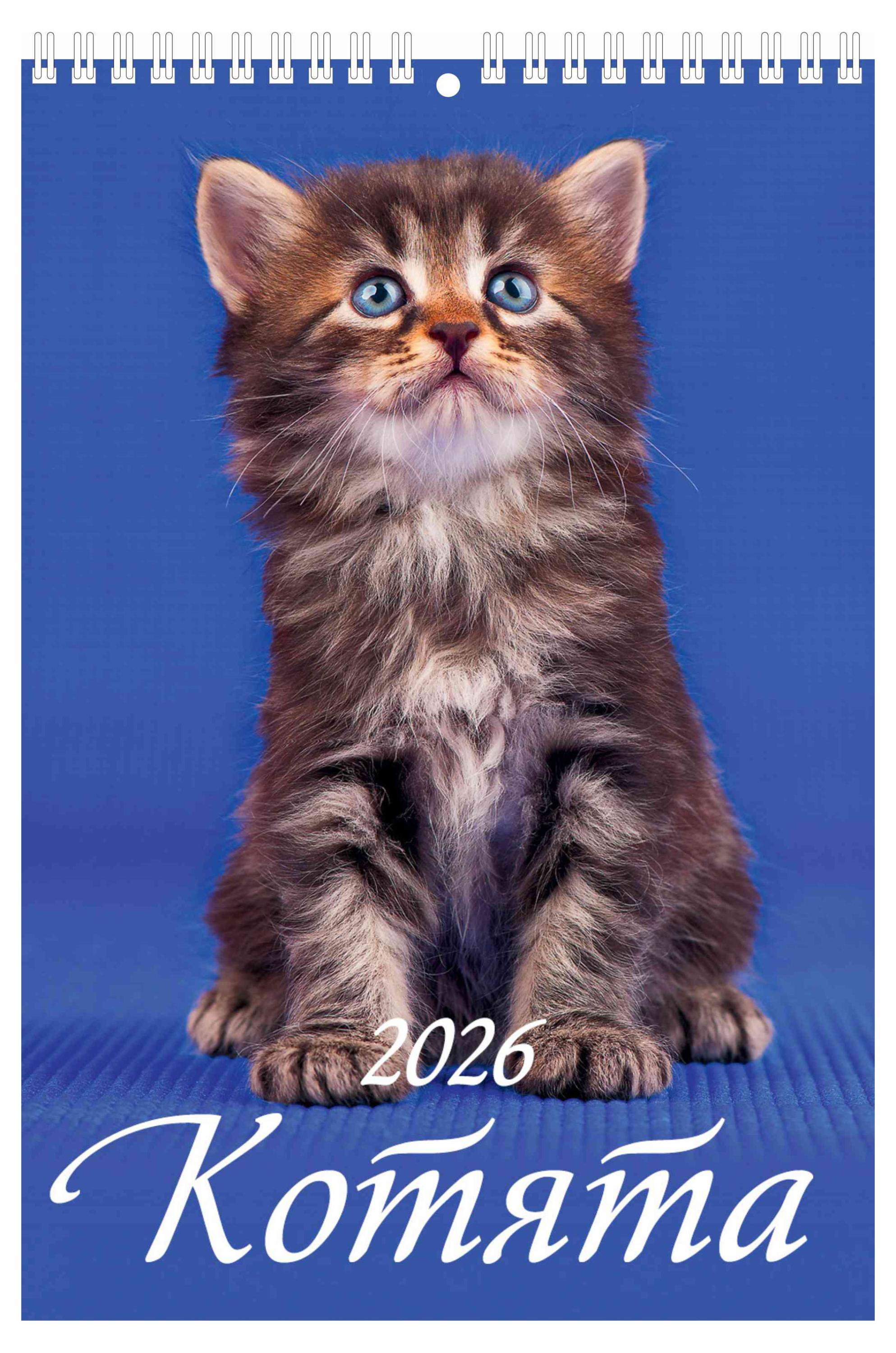 

Календарь настенный перекидной Дитон Котята на спирале 2026, 17х25 см