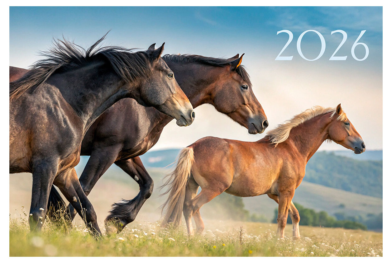 Изображение товара Квартальный трехблочный календарь Listoff на 2026 год 305х680 мм