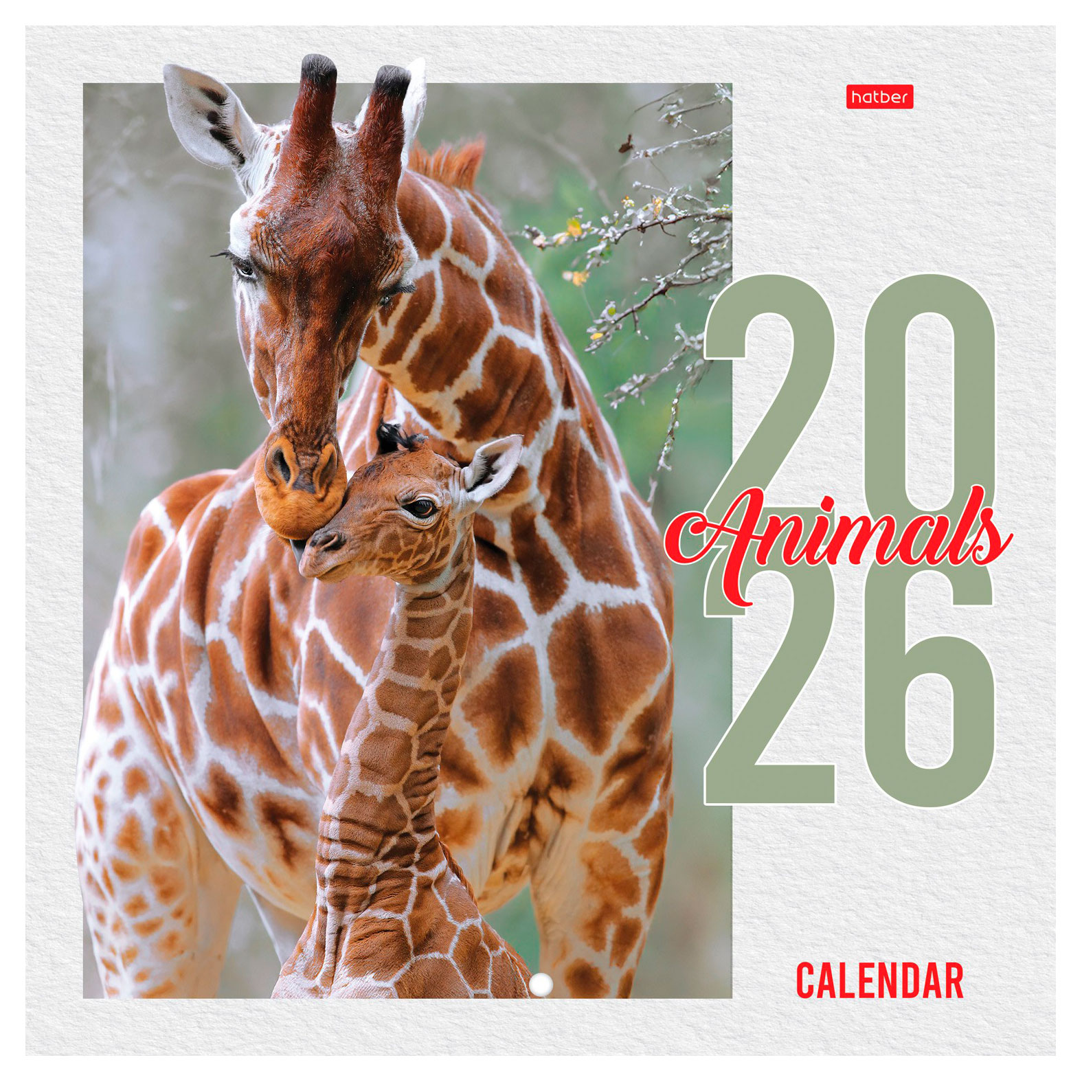 Изображение товара Календарь настенный перекидной «Хатбер-М» Animals на 2026 год, 21,6х21,6 см