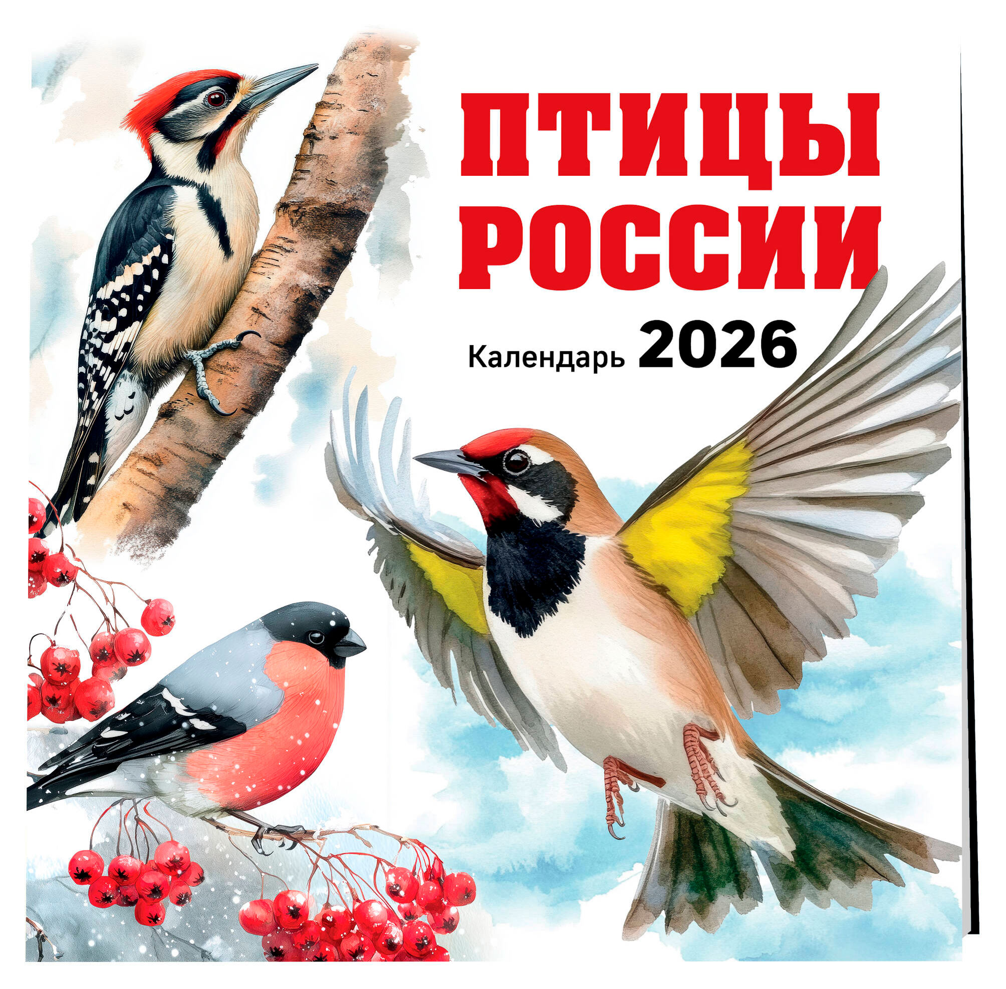 

Календарь настенный Эксмо Птицы России на 2026 год, 300х300 мм
