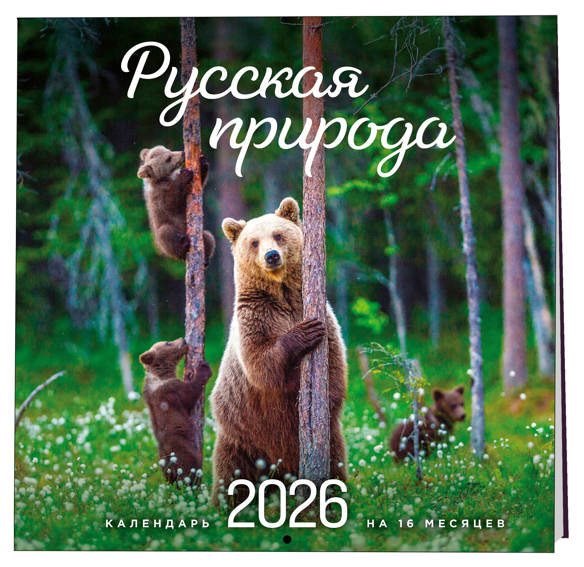 

Календарь настенный Эксмо Русская природа на 2026 год, 300х300 мм