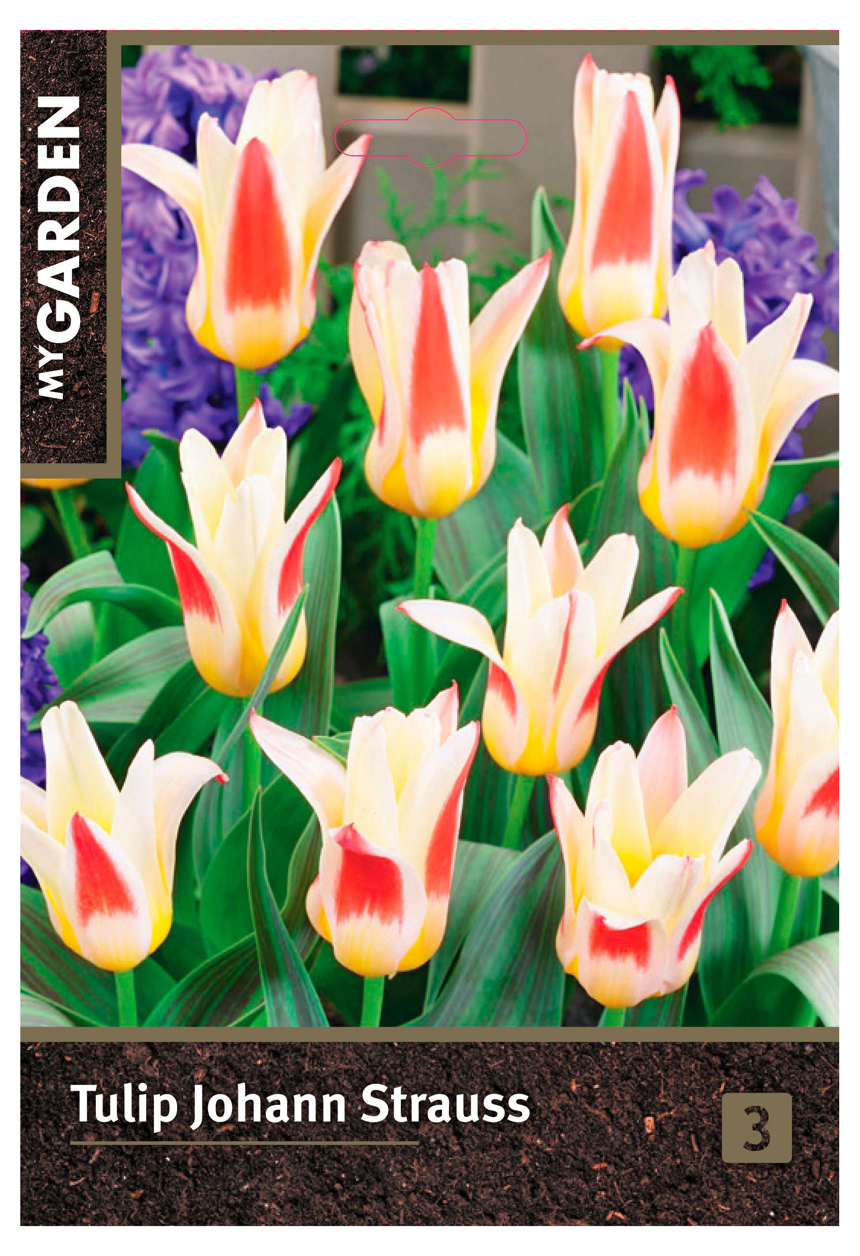 

Луковицы Флора групп Тюльпан гибрид желтый микс, 3 шт