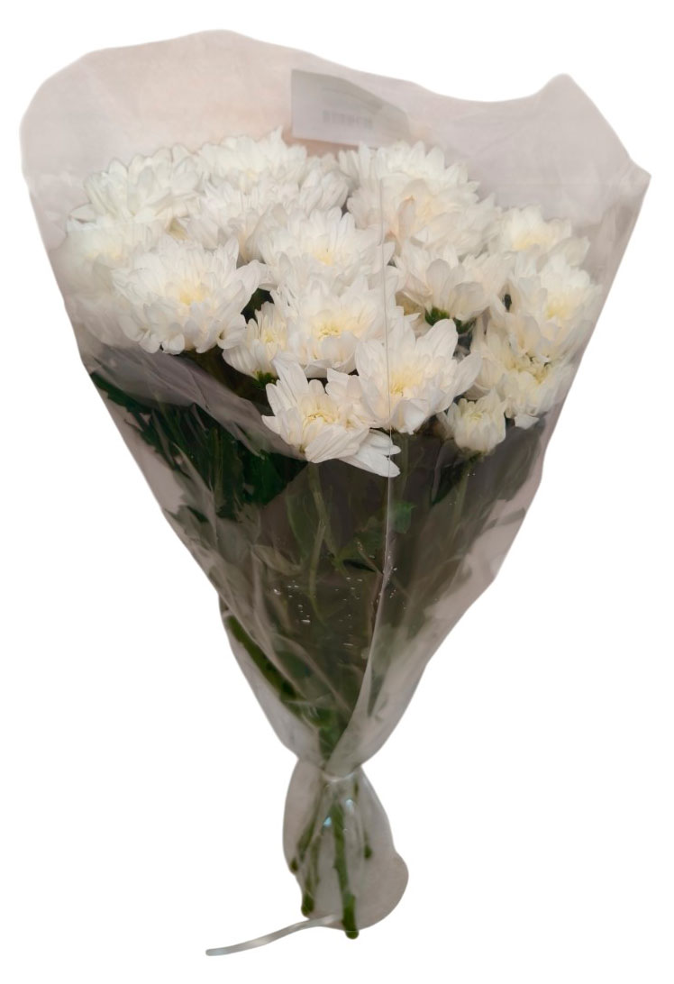 

Букет живых срезанных цветов Хризантема из 5 кустовых хризантем в упаковке в ассортименте h 50 см, 1 шт