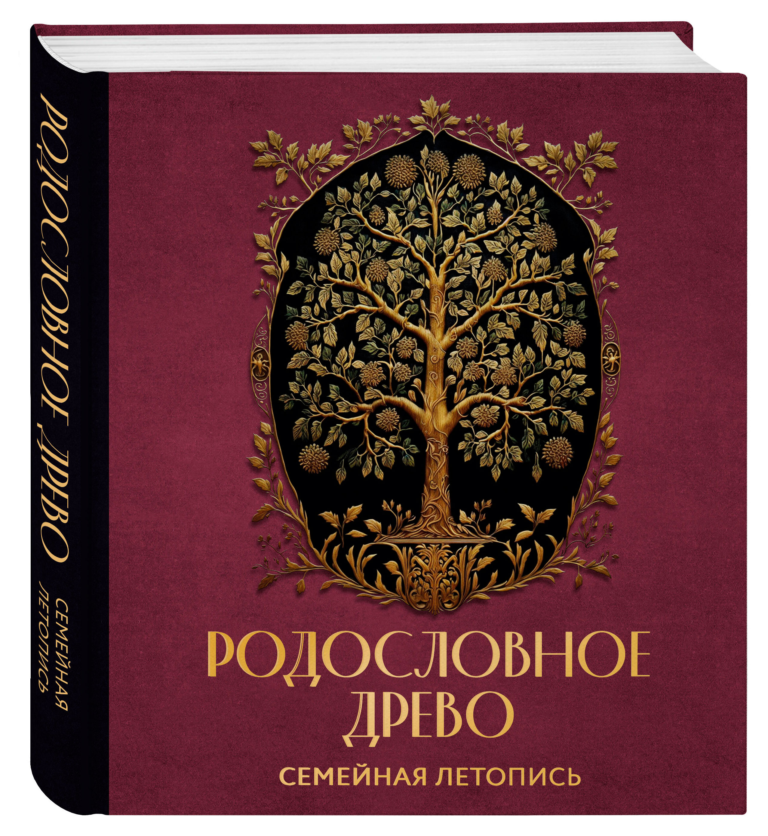 

Родословное древо. Семейная летопись. Индивидуальная книга фамильной истории