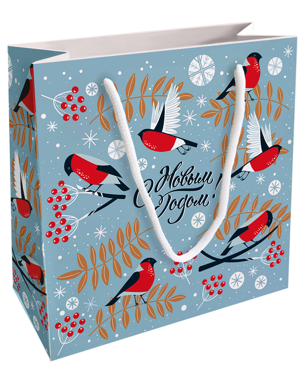 Изображение товара Подарочный бумажный пакет Be Smart N5 20x20 см ассортимент