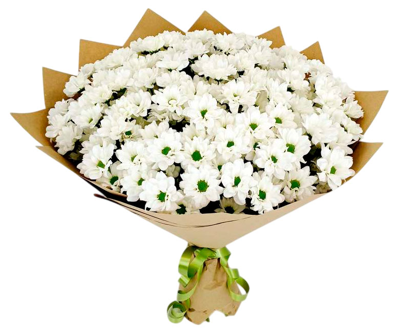 

Букет живых срезанных цветов 40 Моно хризантема из 25 кустовых хризантем в упаковке в ассортименте h 50 см, 1 шт