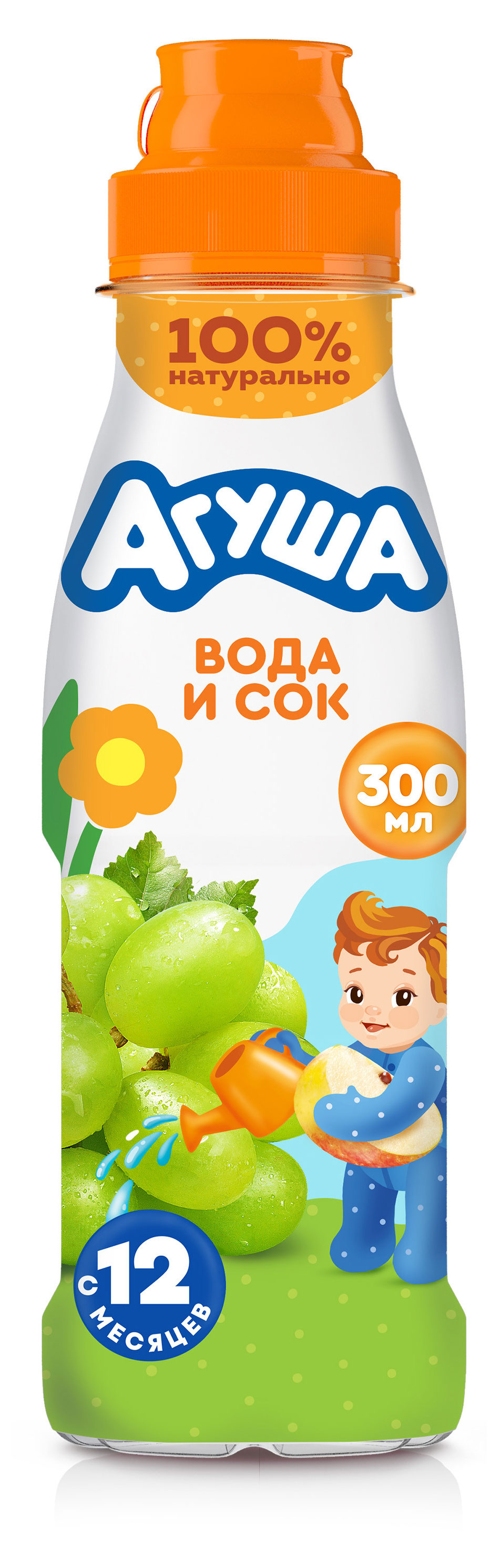 

Напиток сокосодержащий Агуша яблоко и виноград с 12 мес., 300 мл