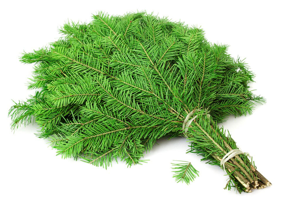 

Букет лапника из веток живой Пихты Сибирской зеленая срезка, 5-7 веток