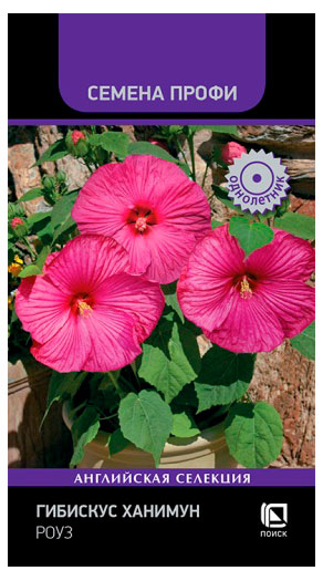 

Семена Поиск Гибискус Ханимун Роуз, 3 шт