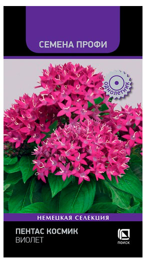 

Семена Поиск Пентас Космик Виолет, 7 шт