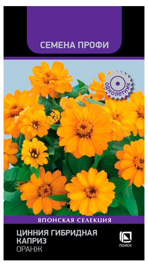 

Семена Поиск Цинния гибридная Каприз Оранж, 7 шт