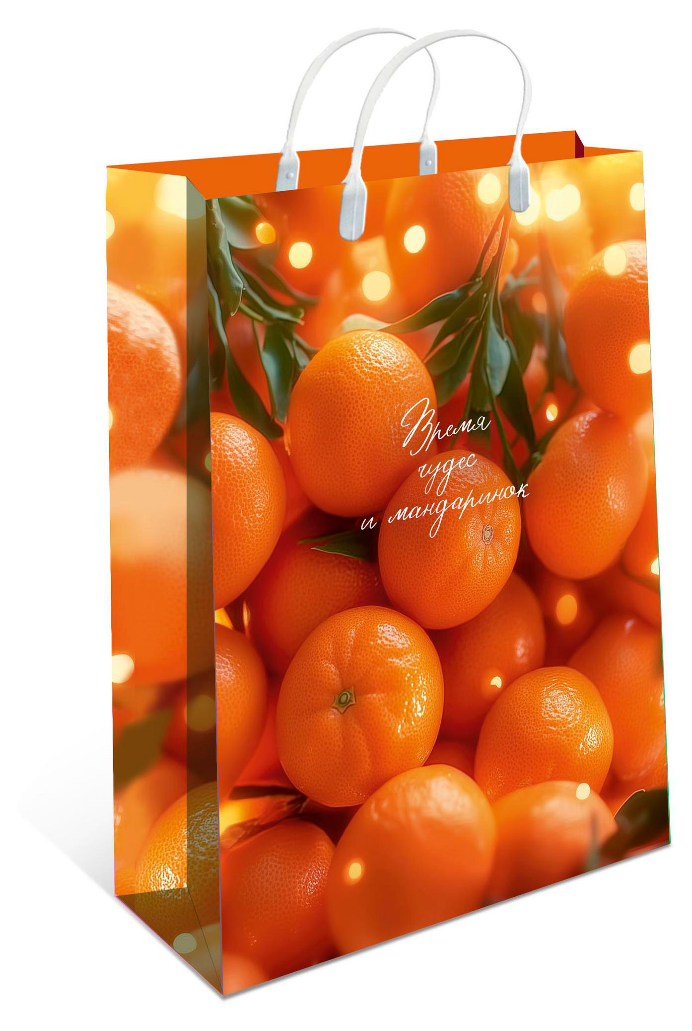 

Сумка подарочная Арт Дизайн, 40х30 см в ассортименте