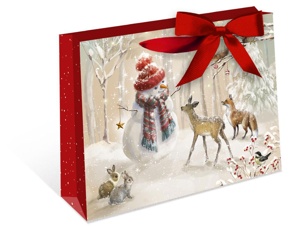 

Пакет подарочный Арт & Дизайн ДеЛюкс горизонтальный, в ассортименте