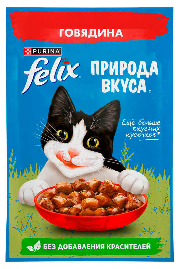 

Корм влажный для кошек Felix Природа вкуса с говядиной в соусе, 75 г