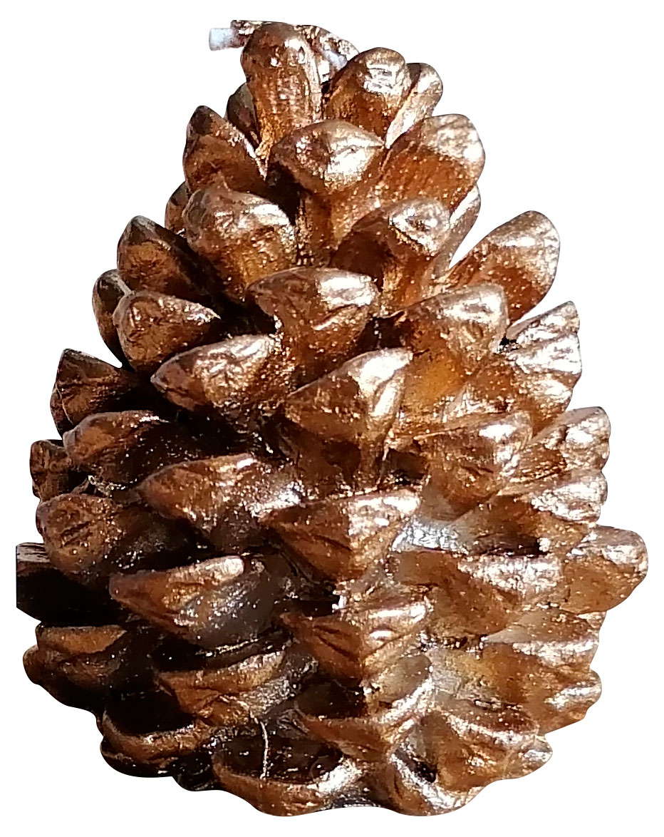 

Свеча Actuel Шишка, h 8,5 см