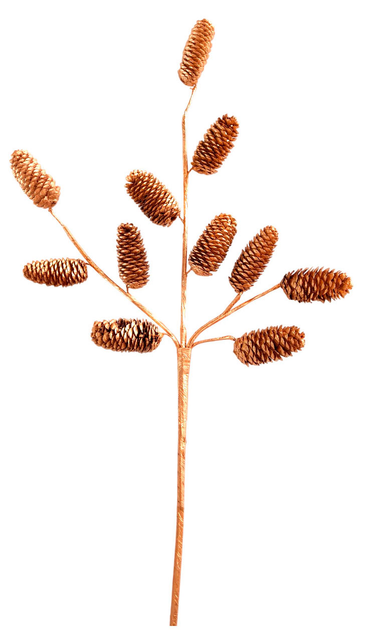 

Украшение Actuel Вокруг света Ветка с шишками, 70 см