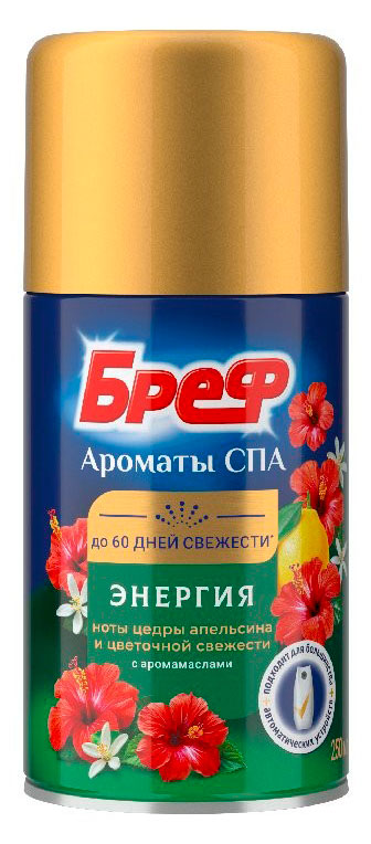 

Освежитель воздуха Бреф Энергия ароматы СПА сменный баллон, 250 мл