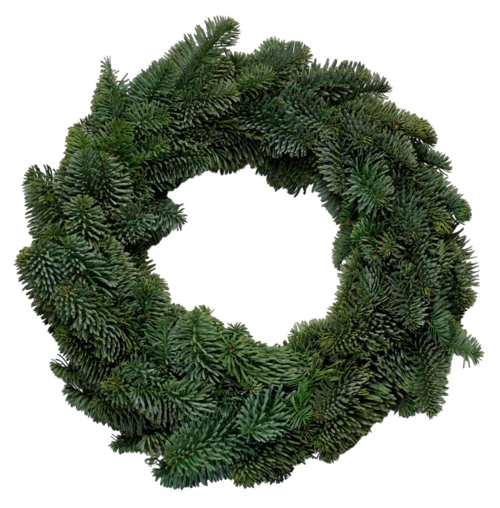 

Венок из живой Пихты Нобилис одностороний зеленый, d 25 см
