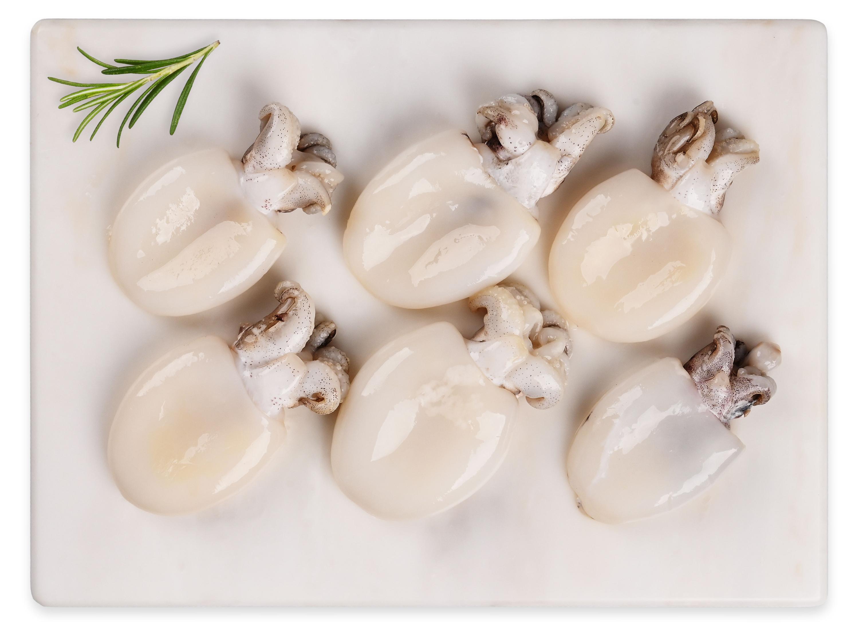 

Каракатицы охлажденные, вес