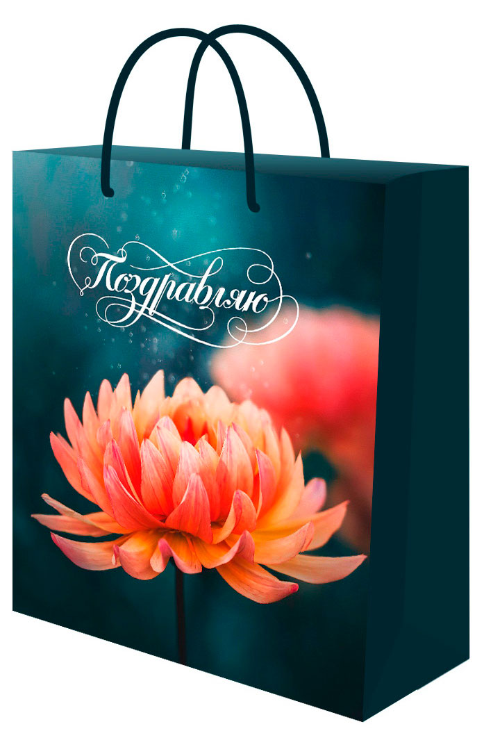 Изображение товара Пакет подарочный Miland Optima 11,5х14,5х6 см, 1 шт в ассортименте