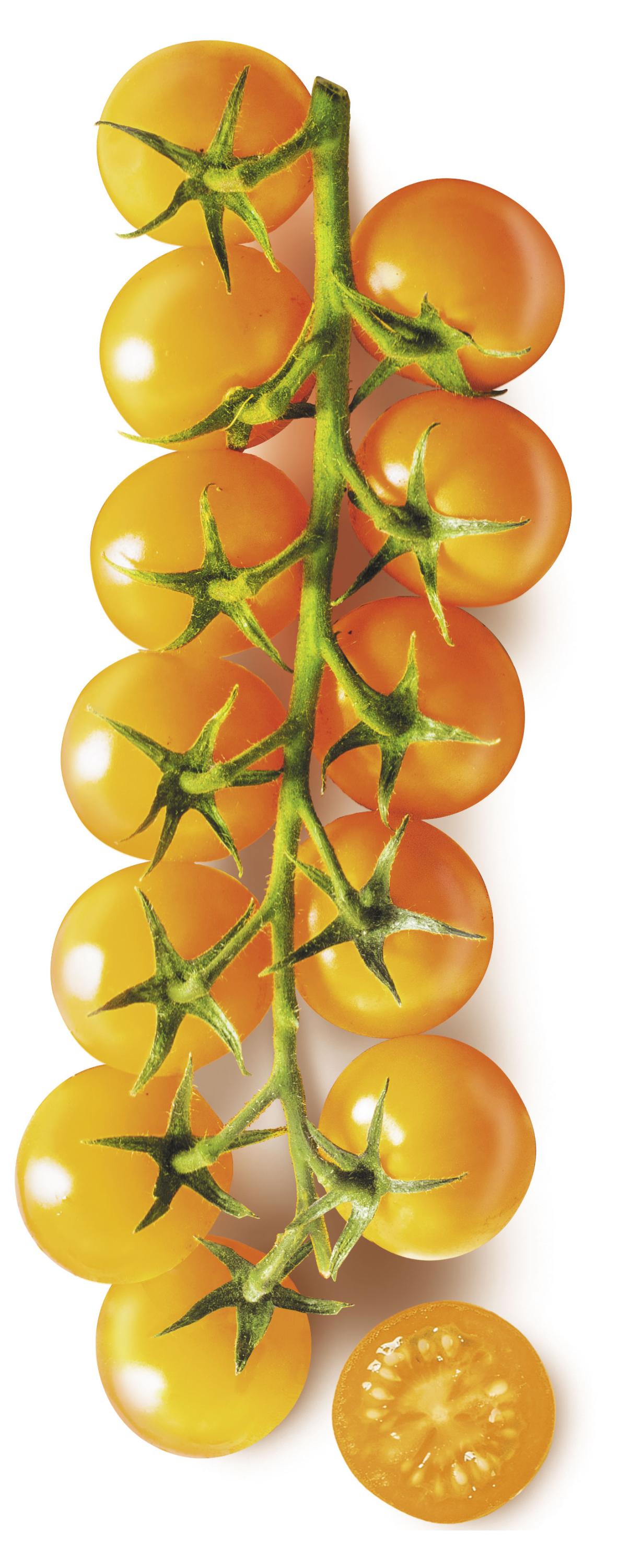 

Томаты черри оранжевые, вес