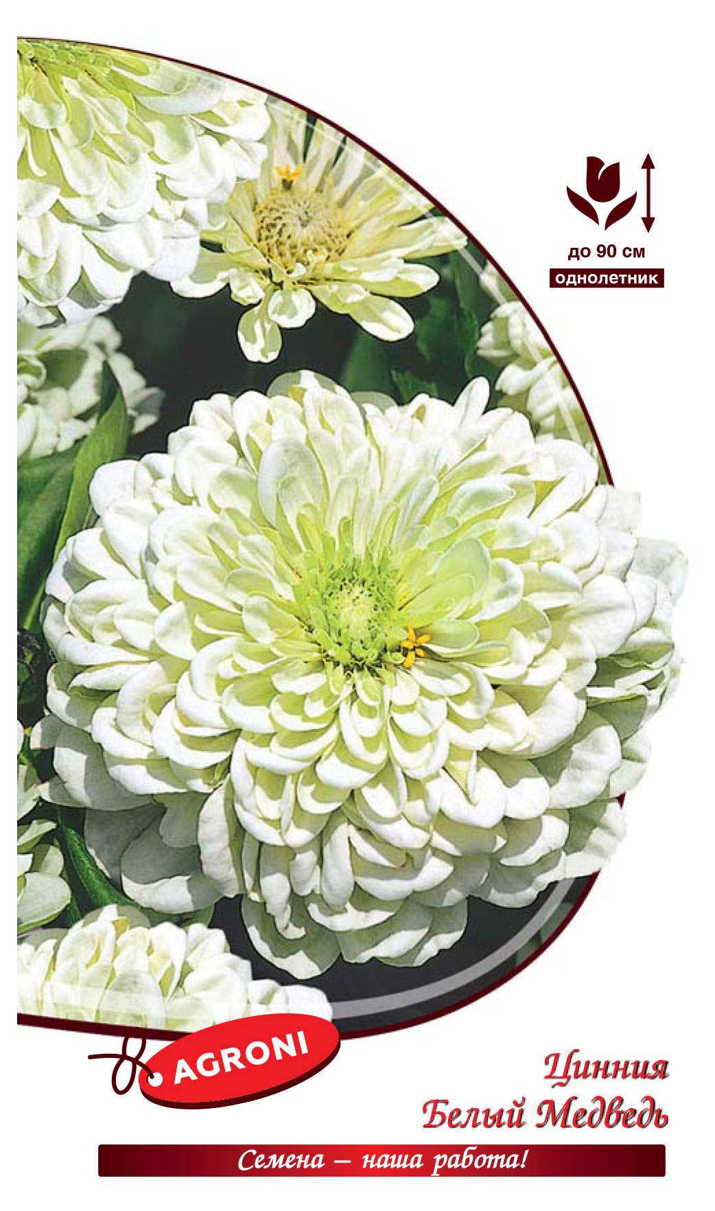 

Семена Agroni Цинния изящная Белый Медведь, 1 шт