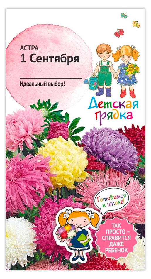 Изображение товара Семена «АгроСидсТрейд» Астра 1 Сентября, 0,3 г