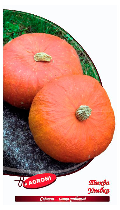 

Семена Agroni Тыква Улыбка, 2 г