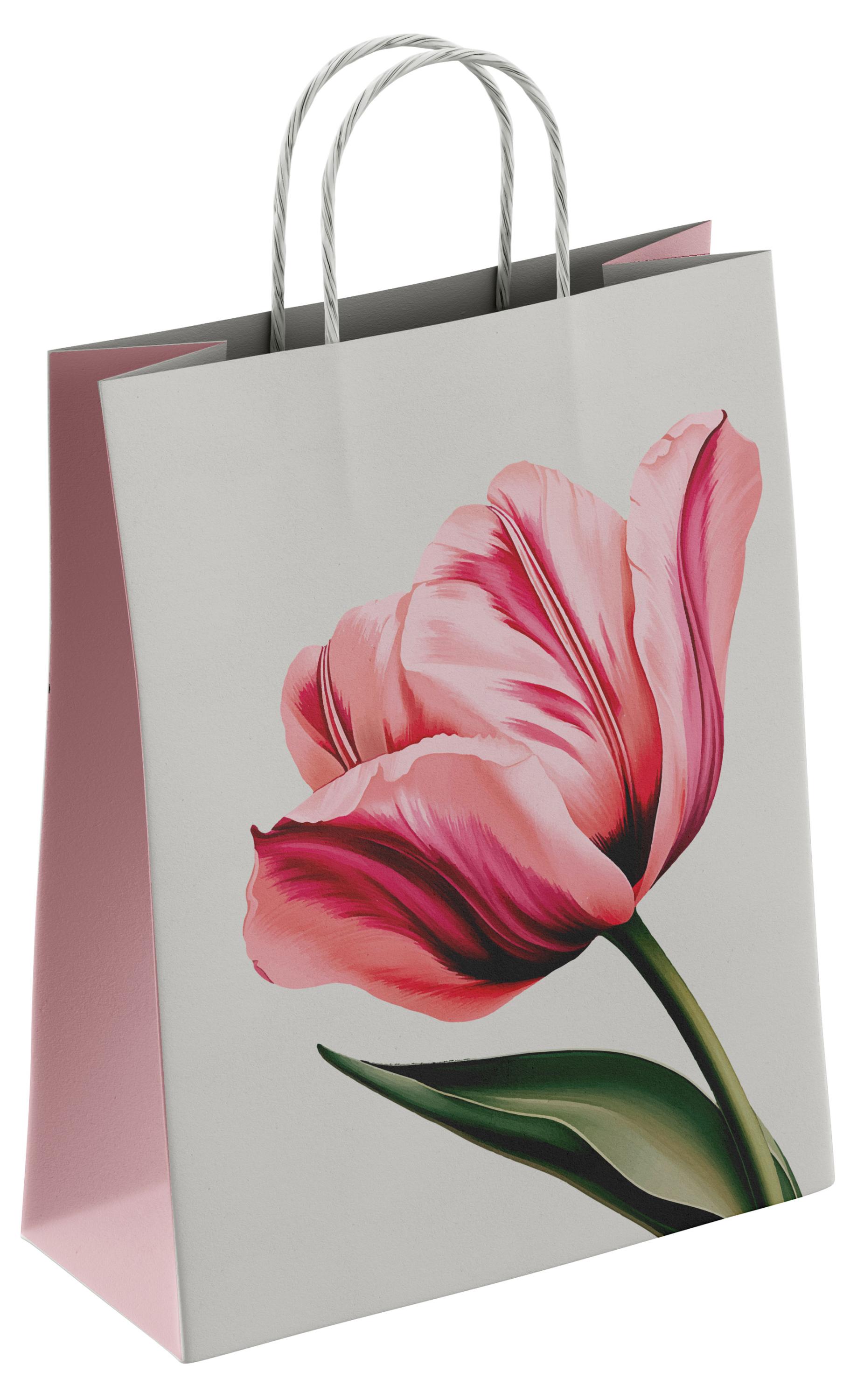 

Пакет подарочный бумажный ПЗБМ Пан 25х22х12 см, 1 шт в ассортименте