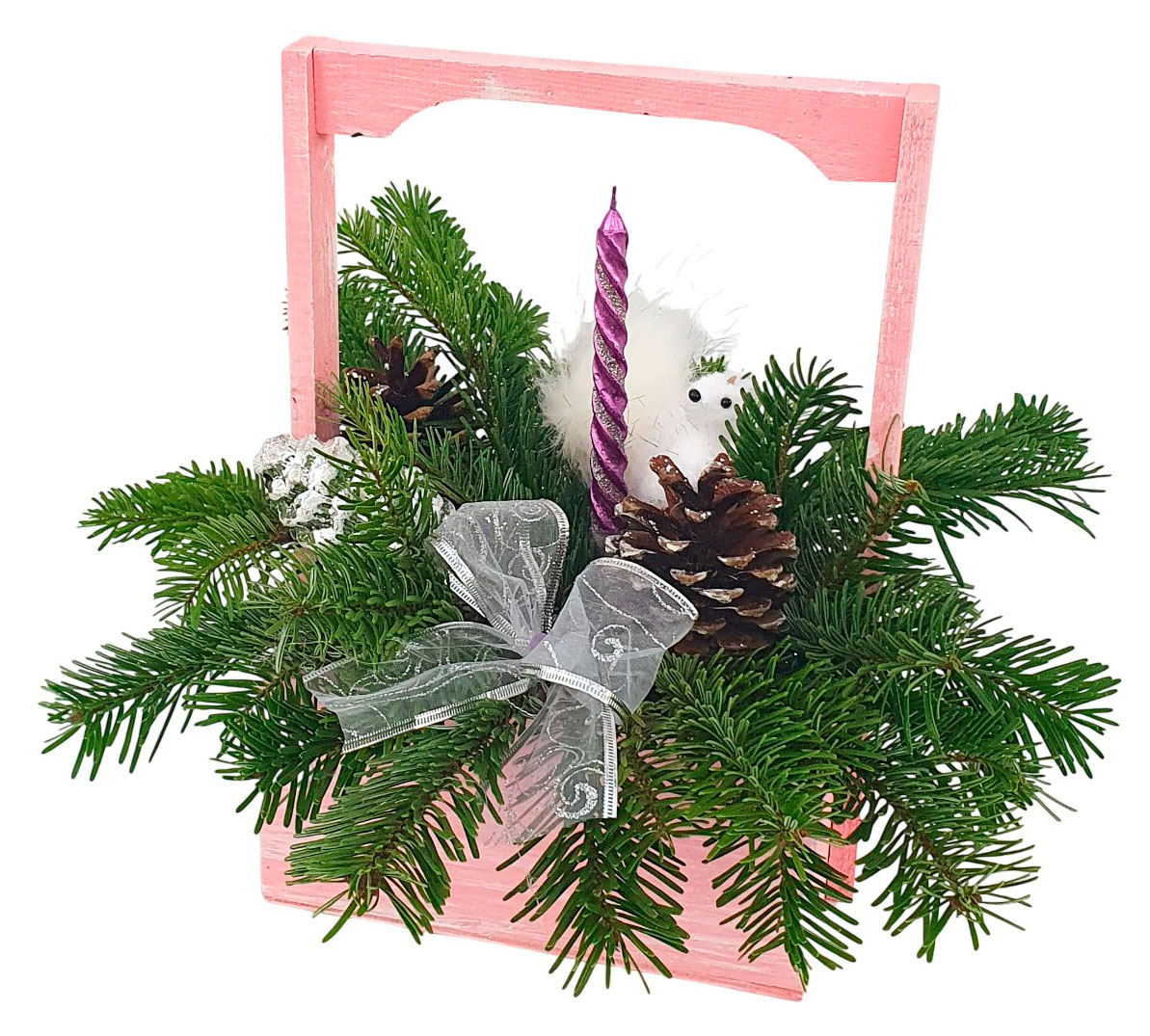 

Живое растение Рождественская композиция Морозное утро в ассортименте в горшке d 12 h 40 см, 1 шт