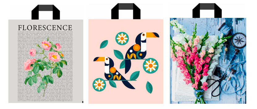 

Пакет с петлевой ручкой АШАН Красная птица 38х43 см, 1 шт в ассортименте