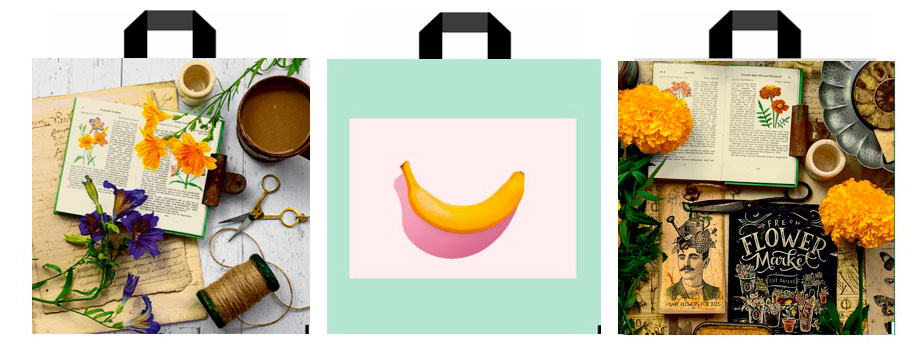 

Пакет с петлевой ручкой АШАН Красная птица 45х45 см, 1 шт в ассортименте