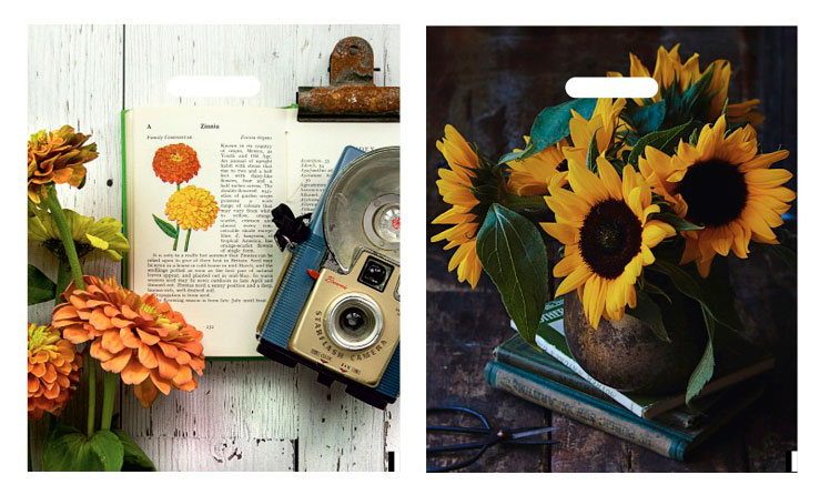 Изображение товара Пакет с вырубной ручкой АШАН Красная птица 36х43 см, 1 шт в ассортименте