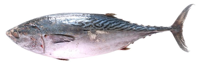 

Тунец бонито замороженный неразделанный, вес