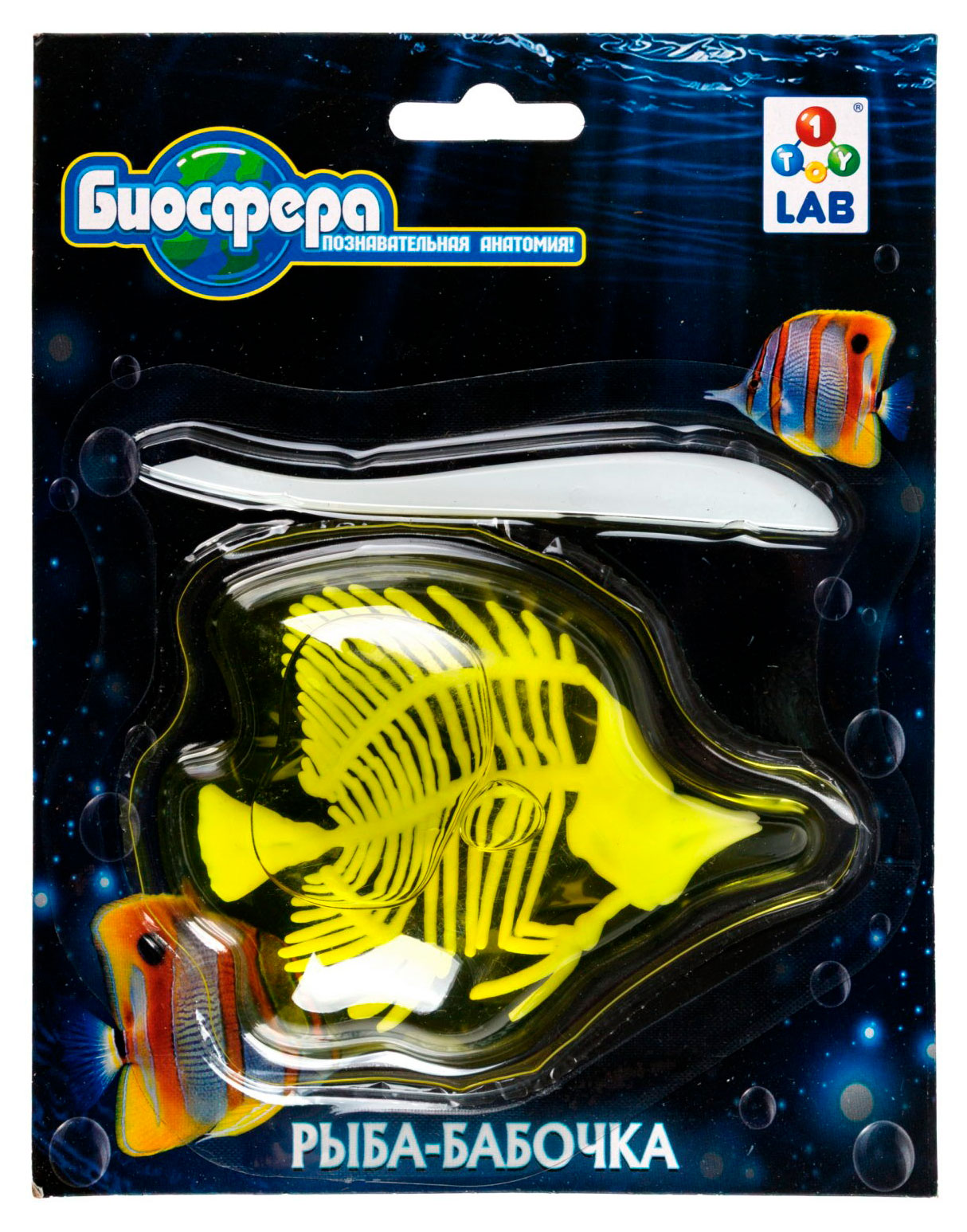 

Набор игровой 1TOY LAB БИОсфера в ассортименте