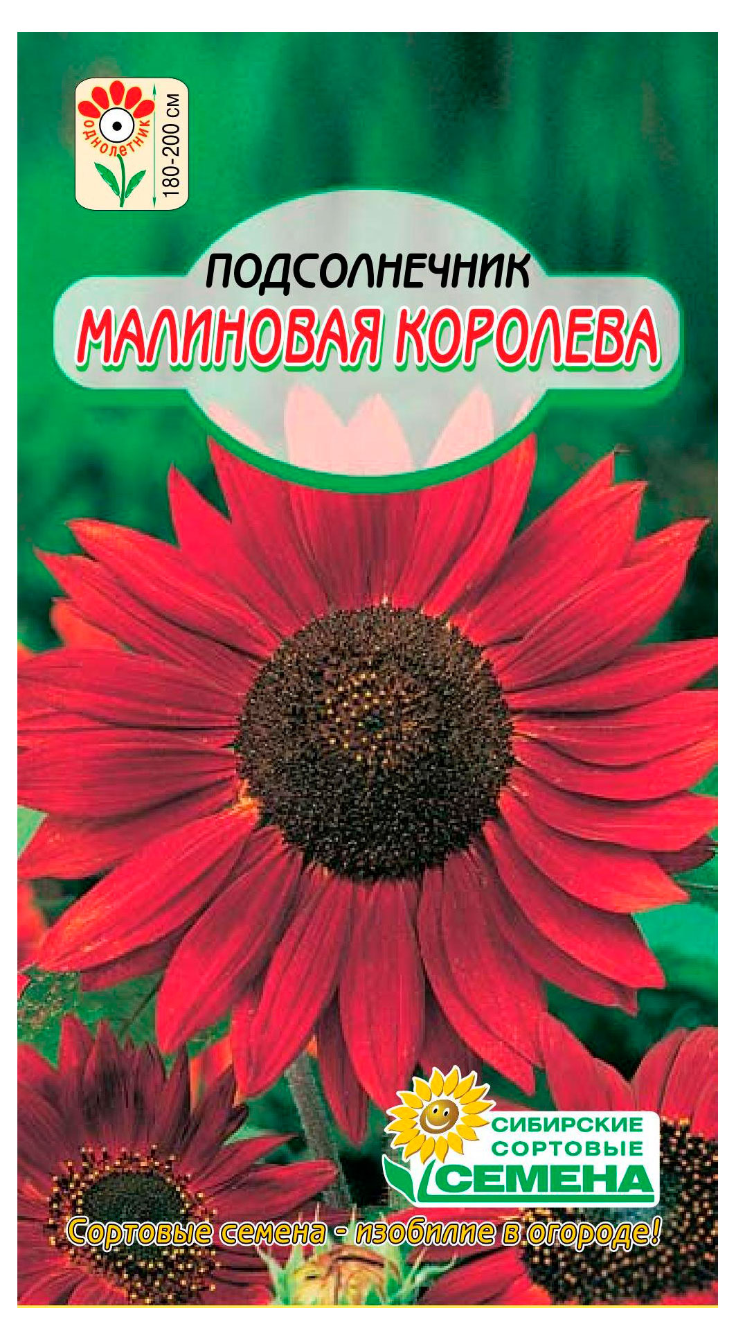 

Семена Сибирские сортовые семена Подсолнечник Малиновая королева, 0,5 г